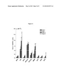 METHOD FOR RENAL DISEASE DIAGNOSIS AND PROGNOSIS USING ANNEXIN A1 AND     RAB23 AS MARKERS diagram and image