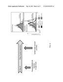 COMPOSITIONS, KITS AND METHODS FOR IN VITRO ANTIGEN PRESENTATION,     ASSESSING VACCINE EFFICACY, AND ASSESSING IMMUNOTOXICITY OF BIOLOGICS AND     DRUGS diagram and image