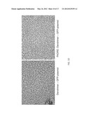 COMPOSITIONS, KITS AND METHODS FOR IN VITRO ANTIGEN PRESENTATION,     ASSESSING VACCINE EFFICACY, AND ASSESSING IMMUNOTOXICITY OF BIOLOGICS AND     DRUGS diagram and image