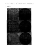 Yeast Expressing Cellulases for Simultaneous Saccharification and     Fermentation Using Cellulose diagram and image