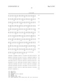 ENGINEERING OF THERMOTOLERANT BACILLUS COAGULANS FOR PRODUCTION OF     D(-)-LACTIC ACID diagram and image