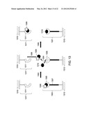 ASSAY TOOLS AND METHODS OF USE diagram and image