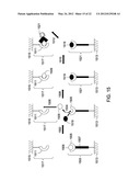 ASSAY TOOLS AND METHODS OF USE diagram and image