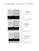 NANO-OPTIC FILTER ARRAY BASED SENSOR diagram and image