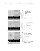 NANO-OPTIC FILTER ARRAY BASED SENSOR diagram and image