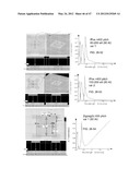 NANO-OPTIC FILTER ARRAY BASED SENSOR diagram and image