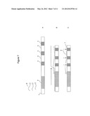 GENERATION OF UNIFORM FRAGMENTS OF NUCLEIC ACIDS USING PATTERNED     SUBSTRATES diagram and image