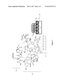 Glycopeptide-Functionalized Nanoparticles Arrays for Capturing and     Detecting Biomolecules diagram and image