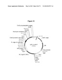 Collection and Methods For Its Use diagram and image