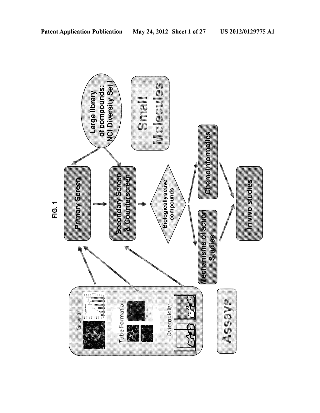 ANTIANGIOGENIC SMALL MOLECULES AND METHODS OF USE - diagram, schematic, and image 02