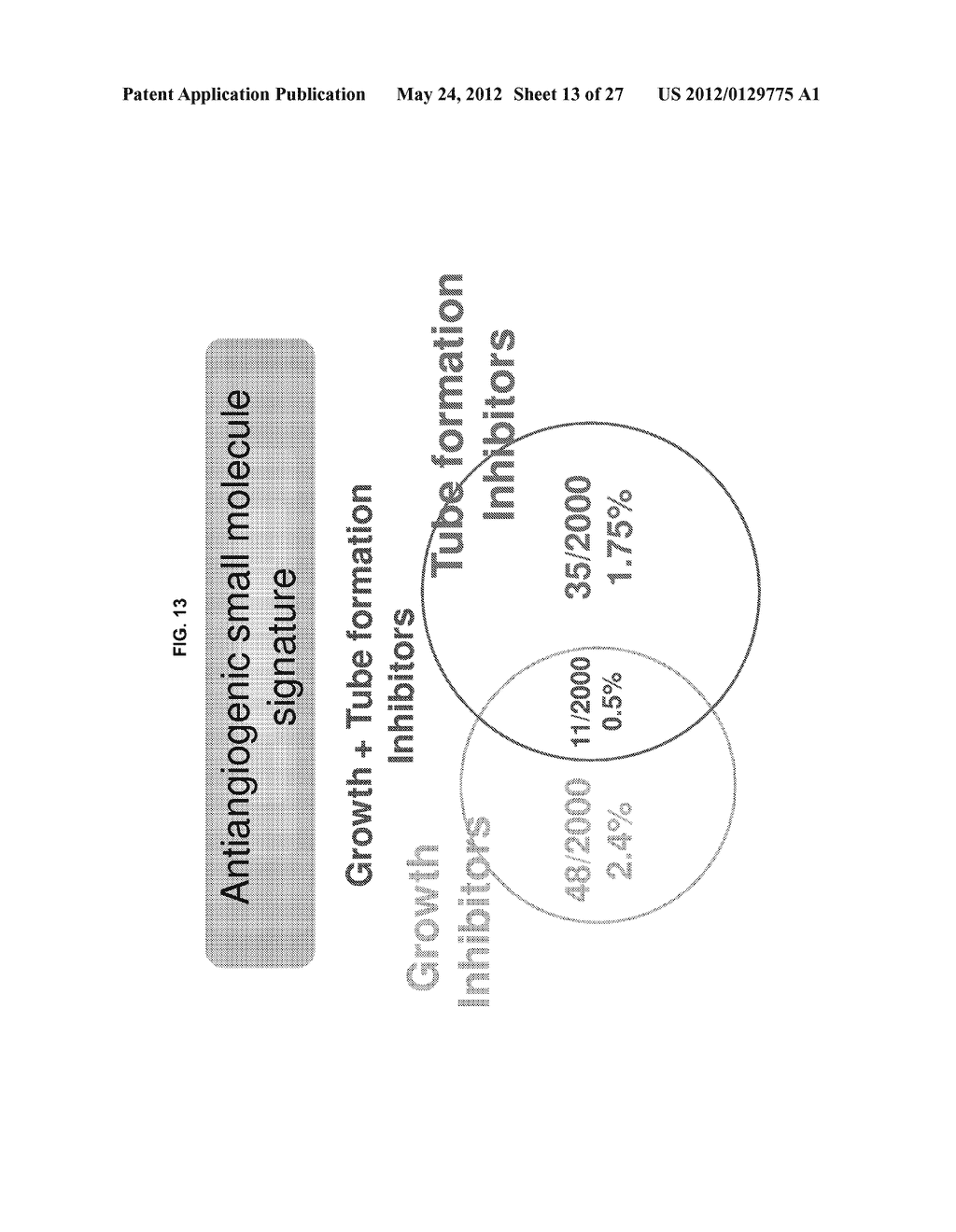 ANTIANGIOGENIC SMALL MOLECULES AND METHODS OF USE - diagram, schematic, and image 14