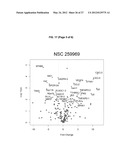 ANTIANGIOGENIC SMALL MOLECULES AND METHODS OF USE diagram and image