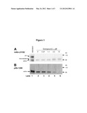 TRICYCLIC INHIBITORS OF PRO-MATRIX METALLOPROTEINASE ACTIVATION diagram and image