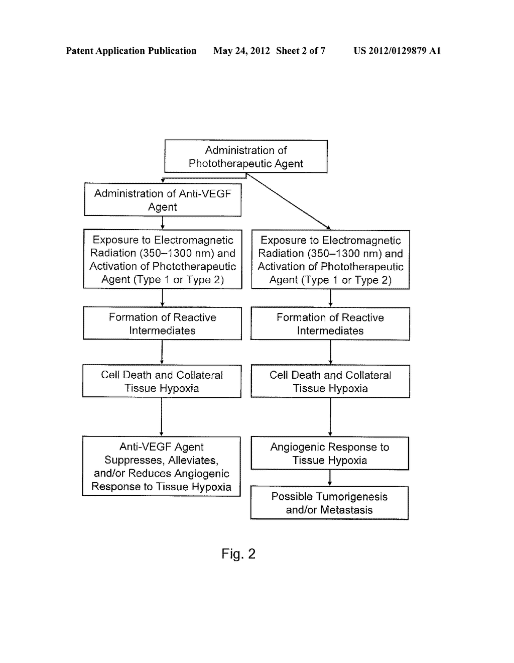 Compounds and Compositions for Use in Phototherapy and in Treatment of     Ocular Neovascular Disease and Cancers - diagram, schematic, and image 03