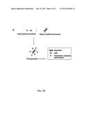 BIOMOLECULE-POLYMER CONJUGATES AND METHODS OF MAKING SAME diagram and image