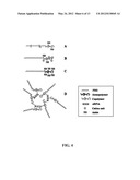 BIOMOLECULE-POLYMER CONJUGATES AND METHODS OF MAKING SAME diagram and image