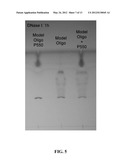 BIOMOLECULE-POLYMER CONJUGATES AND METHODS OF MAKING SAME diagram and image