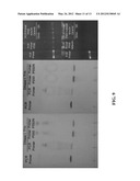 BIOMOLECULE-POLYMER CONJUGATES AND METHODS OF MAKING SAME diagram and image