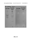 BIOMOLECULE-POLYMER CONJUGATES AND METHODS OF MAKING SAME diagram and image