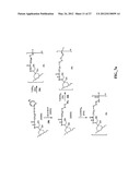 ANTHRACYCLINE DERIVATIVE CONJUGATES, PROCESS FOR THEIR PREPARATION AND     THEIR USE AS ANTITUMOR COMPOUNDS diagram and image