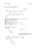 ANTHRACYCLINE DERIVATIVE CONJUGATES, PROCESS FOR THEIR PREPARATION AND     THEIR USE AS ANTITUMOR COMPOUNDS diagram and image