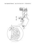 ANCHORING ASSEMBLIES FOR ENDOSCOPES diagram and image