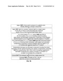 Optical measurement of parameters related to motion of light-scattering     particles within a fluid by manipulating analog electrical signals diagram and image