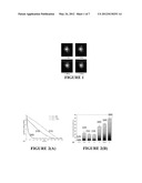 NON-CONTACT OPTICAL SYSTEM, COMPUTER-ACCESSIBLE MEDIUM AND METHOD FOR     MEASUREMENT AT LEAST ONE MECHANICAL PROPERTY OF TISSUE USING COHERENT     SPECKLE TECHNIQUE(S) diagram and image