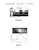 NON-CONTACT OPTICAL SYSTEM, COMPUTER-ACCESSIBLE MEDIUM AND METHOD FOR     MEASUREMENT AT LEAST ONE MECHANICAL PROPERTY OF TISSUE USING COHERENT     SPECKLE TECHNIQUE(S) diagram and image