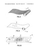 CLAY-BASED HEMOSTATIC AGENTS AND DEVICES FOR THE DELIVERY THEREOF diagram and image