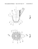 Skin Gripping Means, Injector Including the Skin Gripping Means and Method     of Performing a Subcutaneous Injection diagram and image