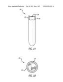 PERMANENT UMBILICAL HOLLOW TUBE diagram and image