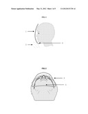 Contoured Face Shields and Method of Producing Optically Clear Parts diagram and image