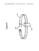 Leaf blower diagram and image