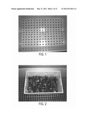 LIQUID COALESCENCE AND VACUUM DRYER SYSTEM AND METHOD diagram and image