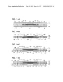 OPTO-ELECTRICAL HYBRID WIRING BOARD AND METHOD FOR MANUFACTURING THE SAME diagram and image