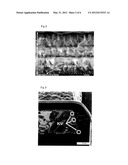 Process and Apparatus for Producing a Metal Covered Polyimide Composite diagram and image