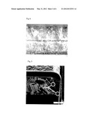 Process and Apparatus for Producing a Metal Covered Polyimide Composite diagram and image