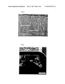 Process and Apparatus for Producing a Metal Covered Polyimide Composite diagram and image