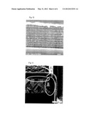 Process and Apparatus for Producing a Metal Covered Polyimide Composite diagram and image