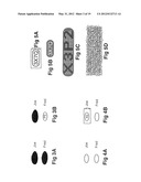 HIDDEN-CODE VOTING AND MARKING SYSTEMS diagram and image