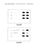 HIDDEN-CODE VOTING AND MARKING SYSTEMS diagram and image