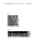 DIFFRACTION GRATING, ORGANIC EL ELEMENT USING THE SAME, AND MANUFACTURING     METHODS THEREOF diagram and image