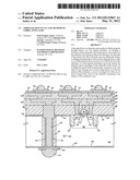 THROUGH SILICON VIA AND METHOD OF FABRICATING SAME diagram and image