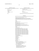 LIGHTWEIGHT THREE-DIMENSIONAL DISPLAY diagram and image