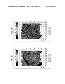 TEMPORAL THERMAL IMAGING METHOD FOR DETECTING SUBSURFACE OBJECTS AND VOIDS diagram and image