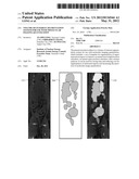 VOLUME-OF-INTEREST SEGMENTATION SYSTEM FOR USE WITH MOLECULAR IMAGING     QUANTIZATION diagram and image