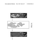 VOLUME-OF-INTEREST SEGMENTATION SYSTEM FOR USE WITH MOLECULAR IMAGING     QUANTIZATION diagram and image