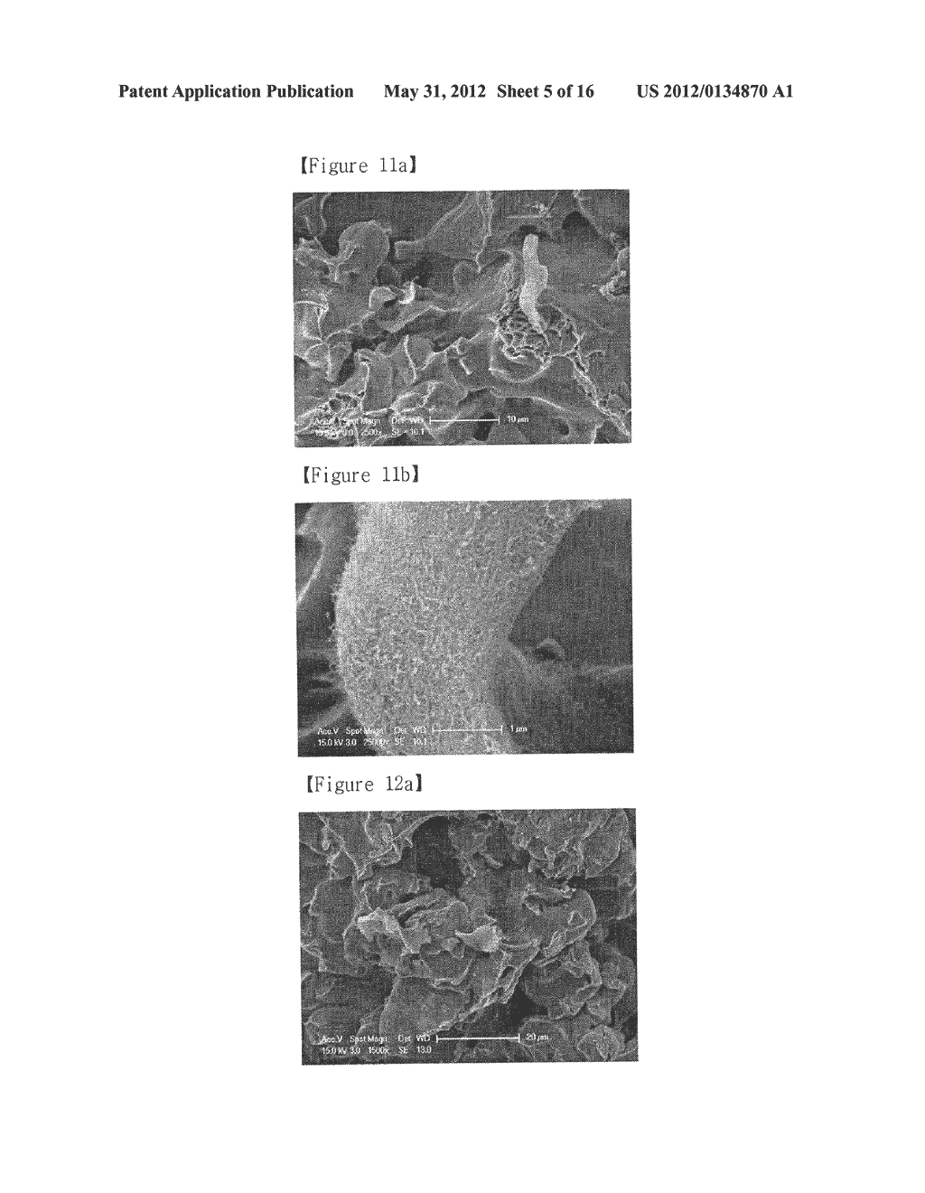 COMPOSITE SINTERING MATERIALS USING CARBON NANOTUBE AND MANUFACTURING     METHOD THEREOF - diagram, schematic, and image 06