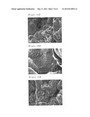 COMPOSITE SINTERING MATERIALS USING CARBON NANOTUBE AND MANUFACTURING     METHOD THEREOF diagram and image